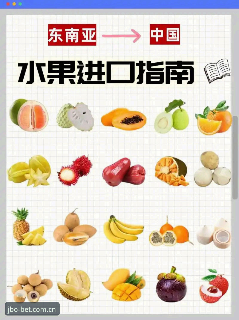 JBO官方入口下载全流程详解——2025新版竞博体育平台接入指南